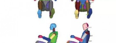 基于台车仿真的Hybrid III 50th假人与THOR 50th假人伤害对比研究