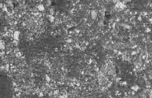 固态电池是“引爆”电动汽车的催化剂吗？