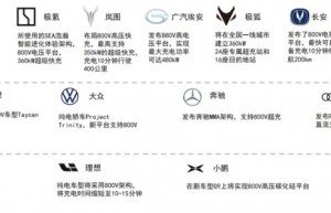 大咖解读：800V电驱动系统的机遇与挑战