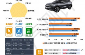 【C-NCAP成绩发布】思皓QX