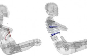 碰撞假人家族的THOR系列之二——THOR 5F